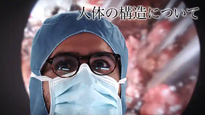 人体の構造について