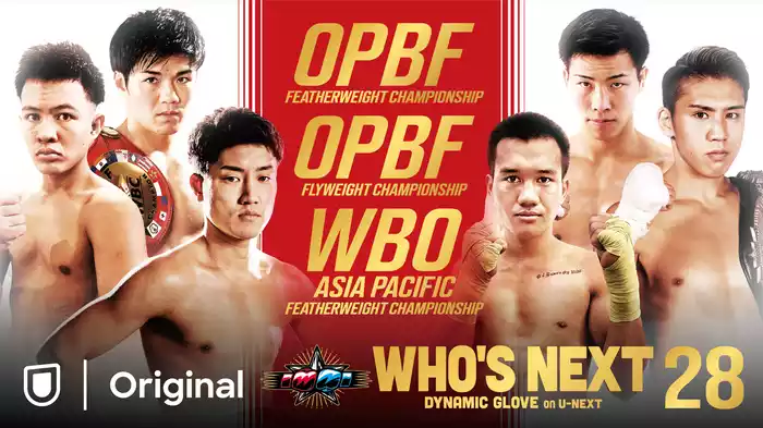 WHO'S NEXT DYNAMIC GLOVE BOXING vol.28