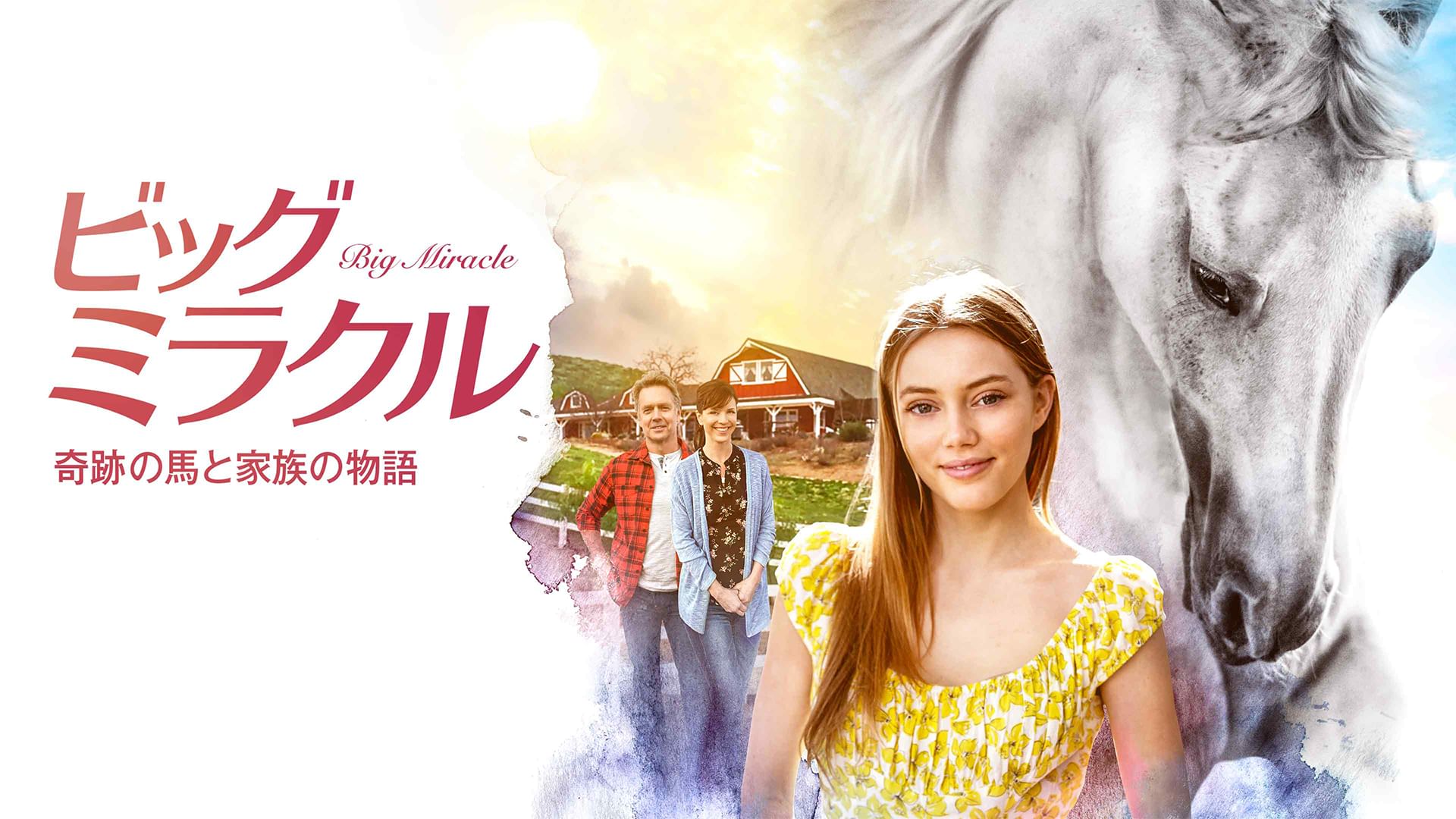 ビッグ・ミラクル 奇跡の馬と家族の物語