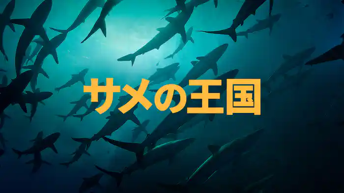 サメの王国