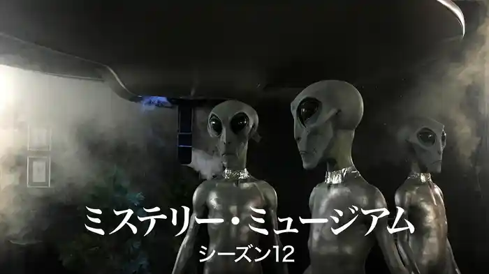 ミステリー・ミュージアム シーズン12