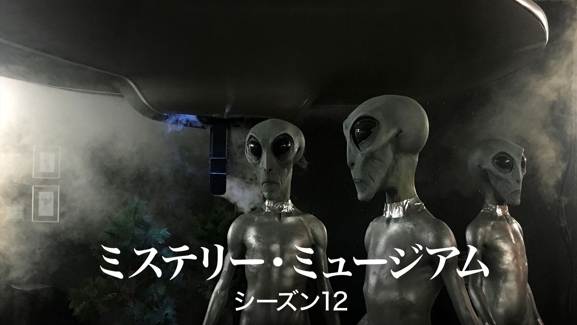 ミステリー・ミュージアム シーズン12