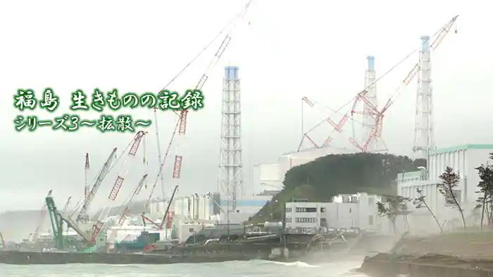 福島 生きものの記録シリーズ３～拡散～