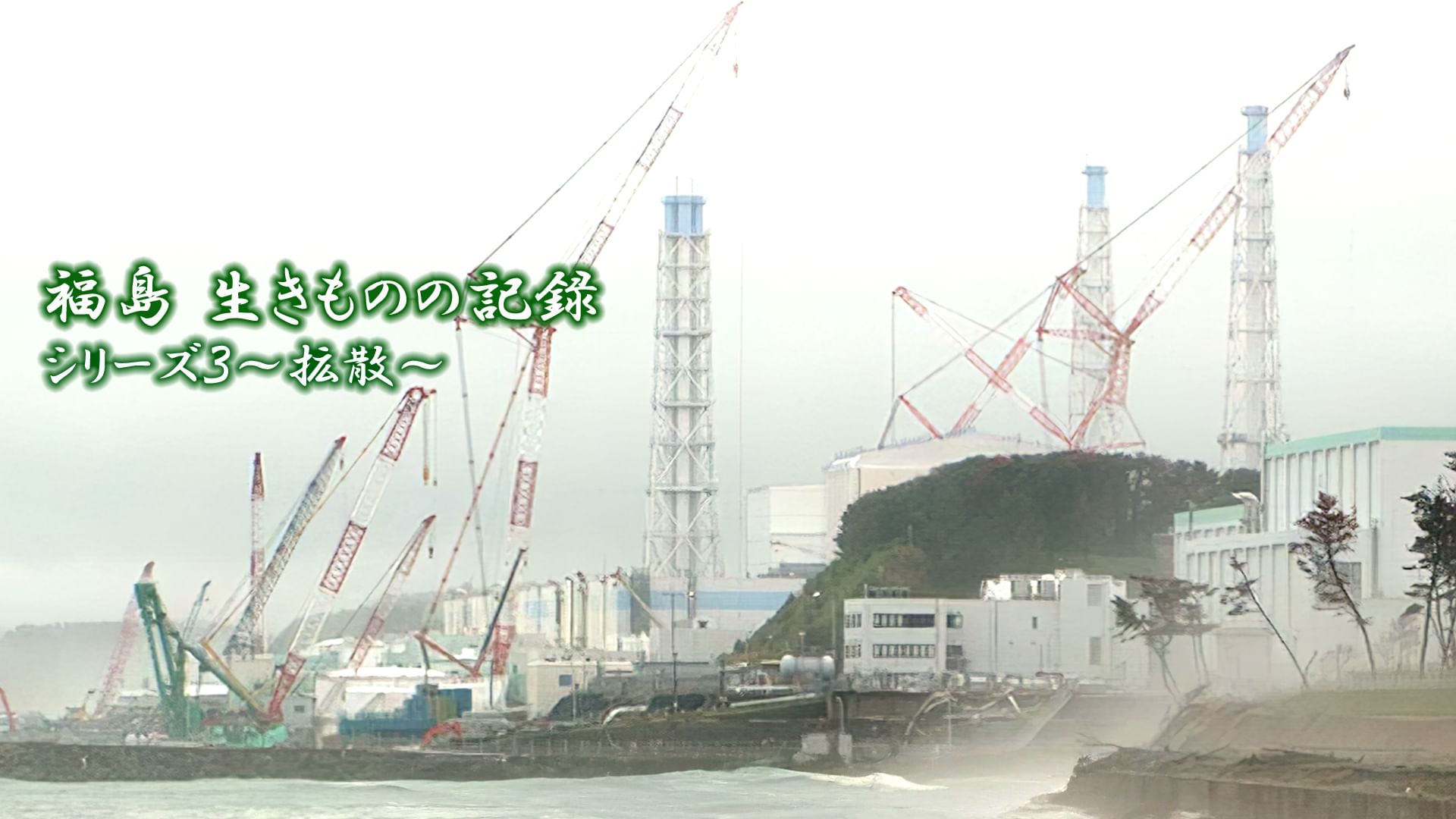 福島 生きものの記録シリーズ3~拡散~