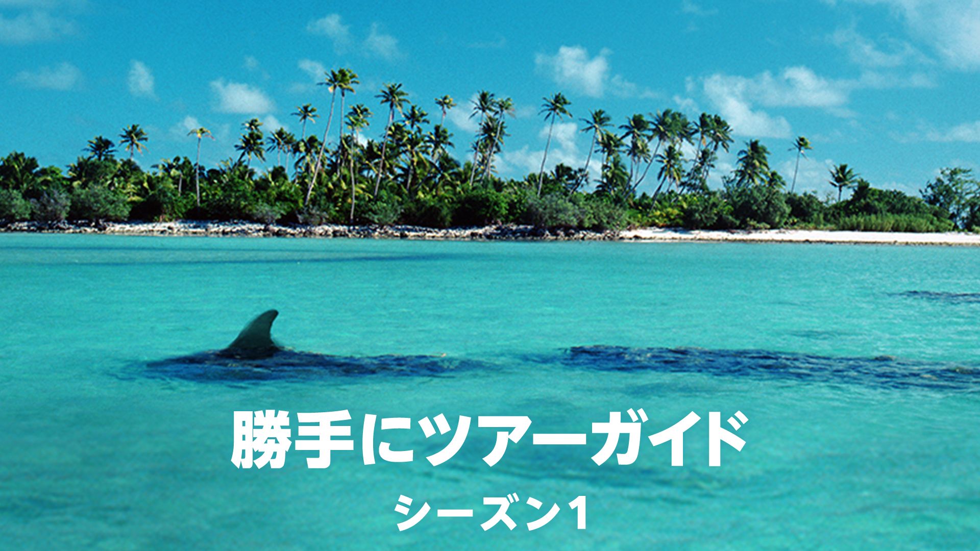 勝手にツアーガイド