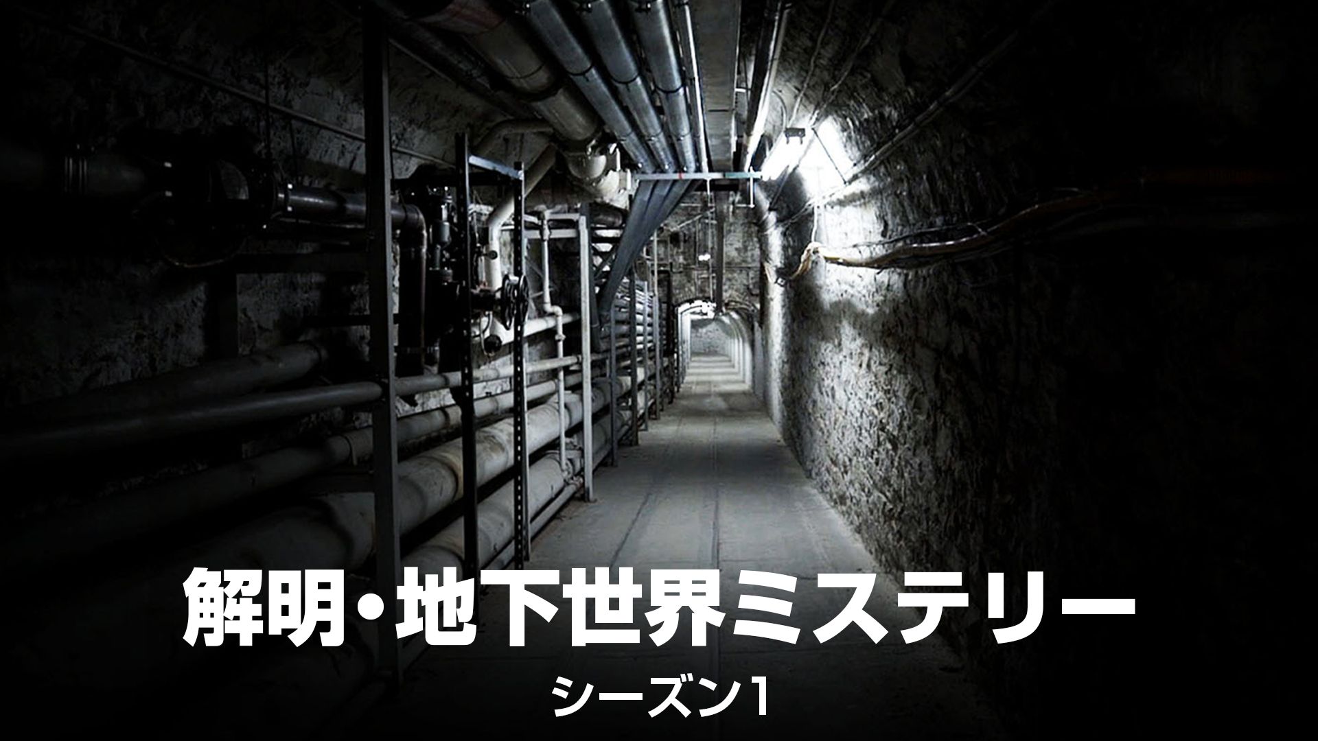 解明・地下世界ミステリー