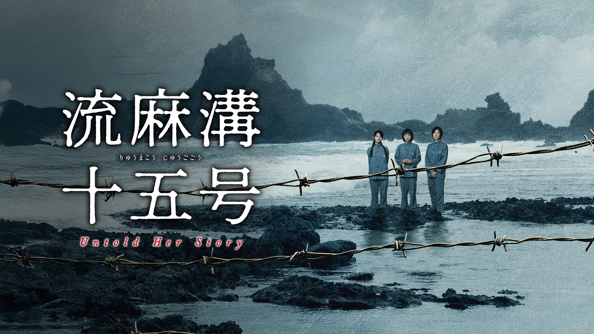 流麻溝十五号