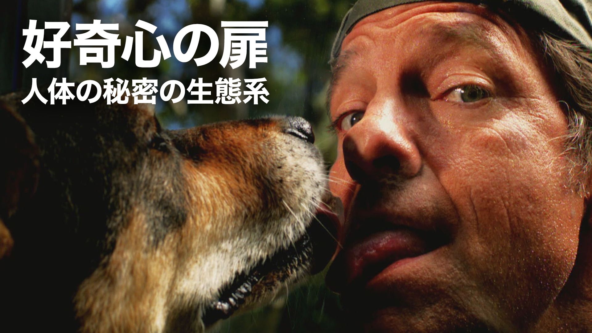 好奇心の扉:人体の秘密の生態系