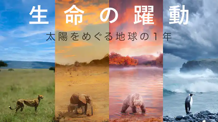 生命の躍動～太陽をめぐる地球の一年～