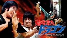 帰って来たドラゴン(洋画 / 1974) - 動画配信 | U-NEXT 31日間無料
