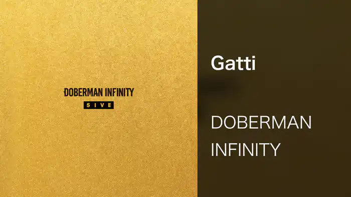 【バラ売り/お値下可】DOBERMAN INFINITY シングルまとめ売り DOBERMAN INFINITY LIVE TOUR 2025 ThanX 