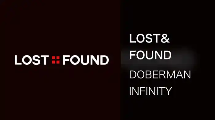 LOST&FOUND