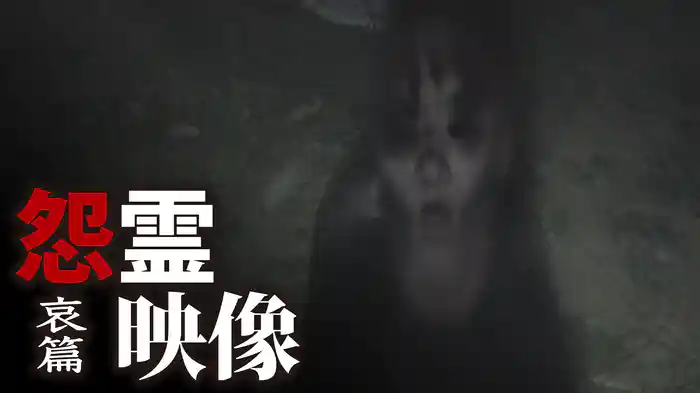 怨霊映像　哀篇