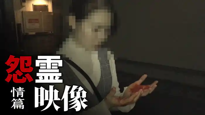 怨霊映像　情篇