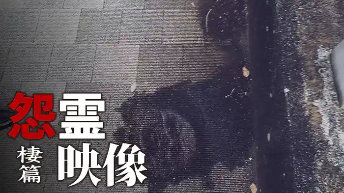 怨霊映像　棲篇