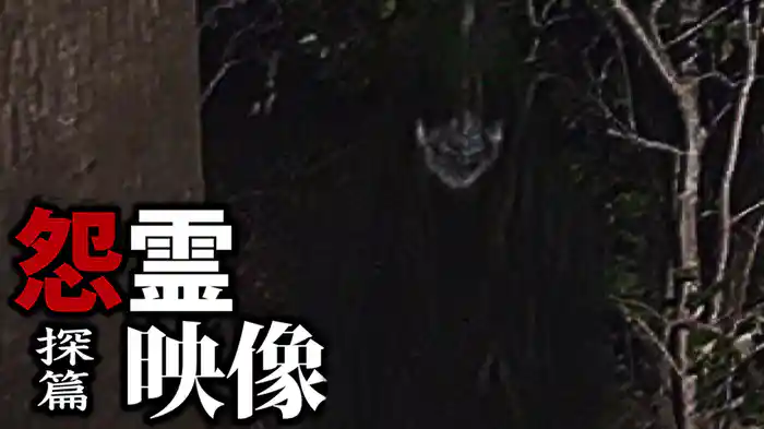 怨霊映像　探篇