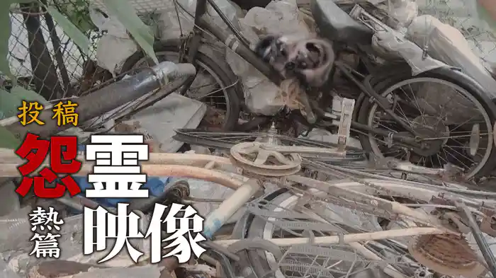 怨霊映像　熱篇