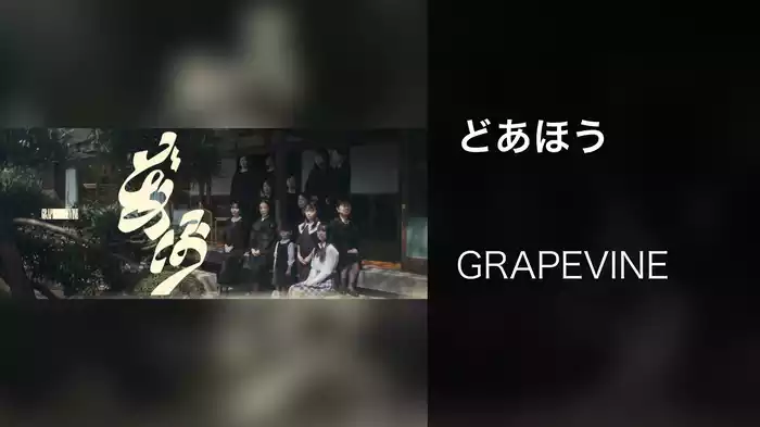 どあほう