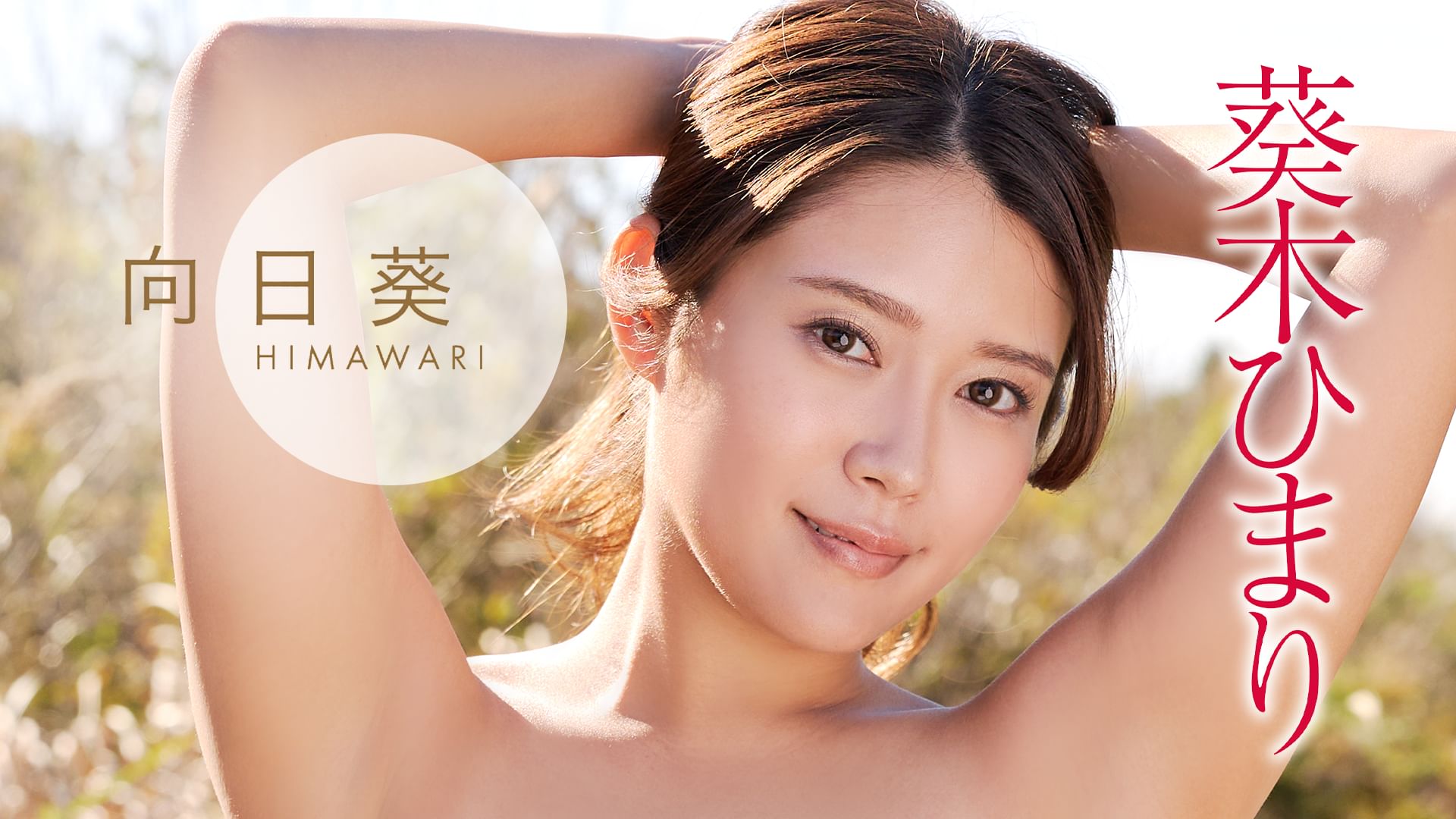 葵木ひまり『向日葵』