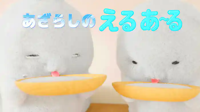 あざらしのえるあーる