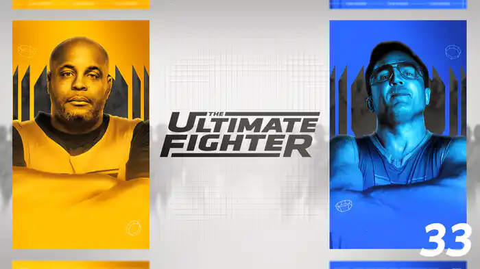 The Ultimate Fighter 33