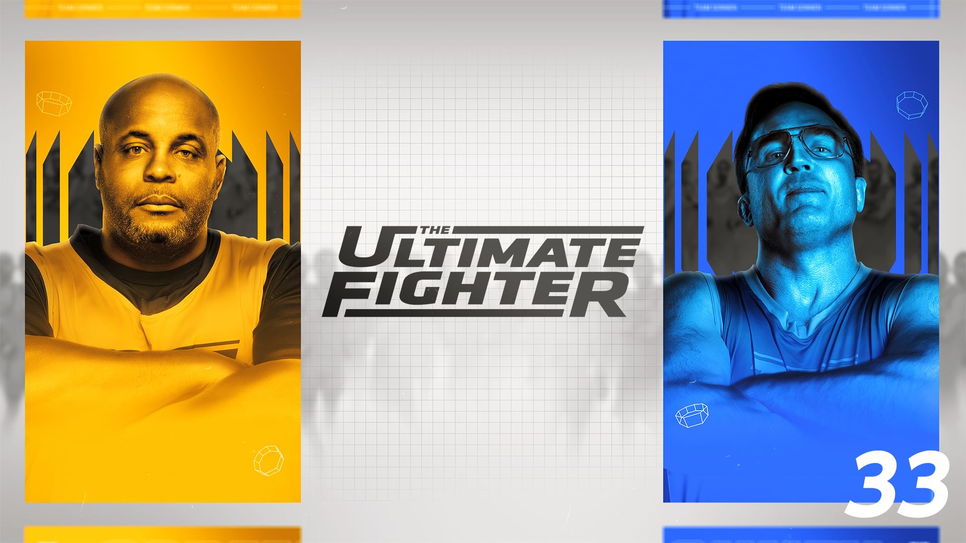 The Ultimate Fighter 33