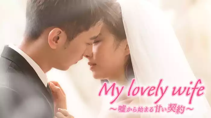 My lovely wife～嘘から始まる甘い契約～