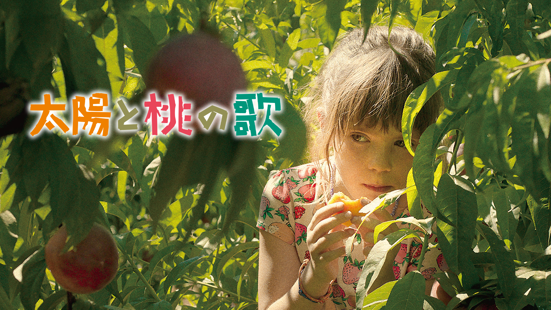 太陽と桃の歌 - サムネイル