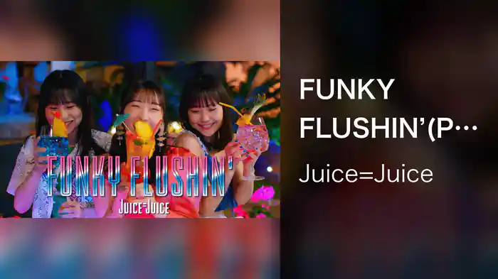 FUNKY FLUSHIN'(Promotion Edit)