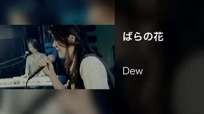 ばらの花