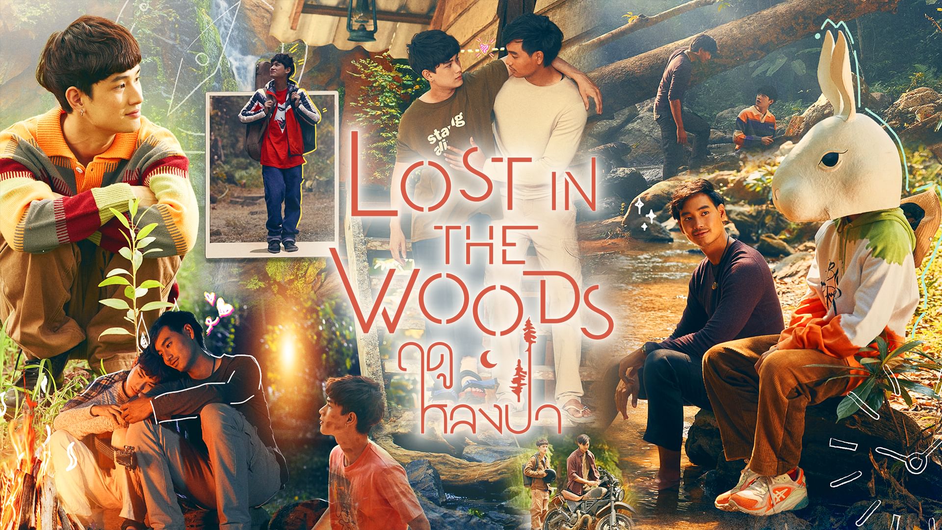 Lost in the Woods