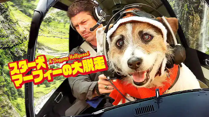 スター犬マーフィーの大脱走