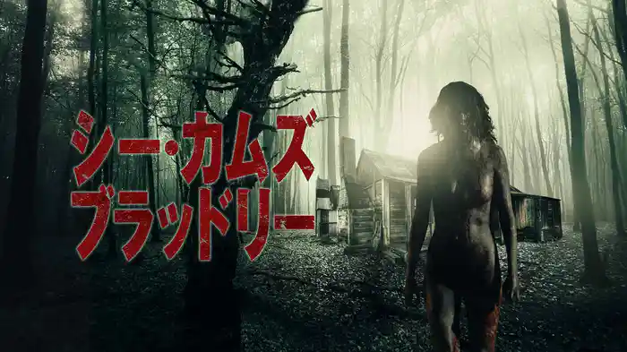 シー・カムズ・ブラッドリー