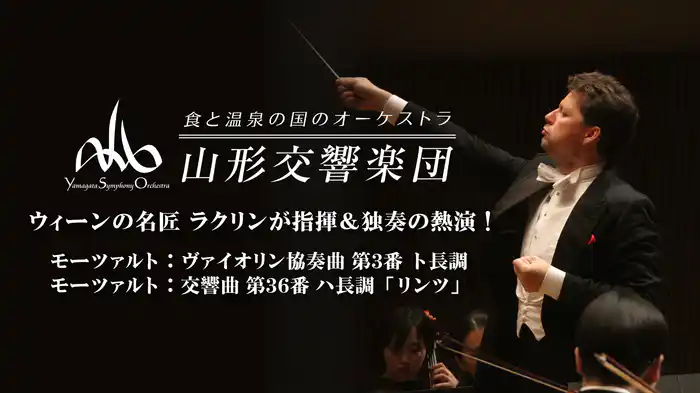 アブラヴァネル ユタ交響楽団 CD 10枚組 アブラヴァネル ユタ交響楽団 CD 10枚組
