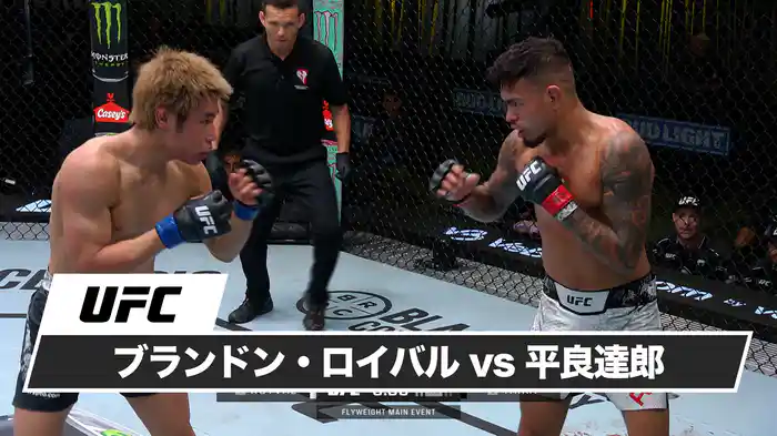 ブランドン・ロイバル vs. 平良達郎