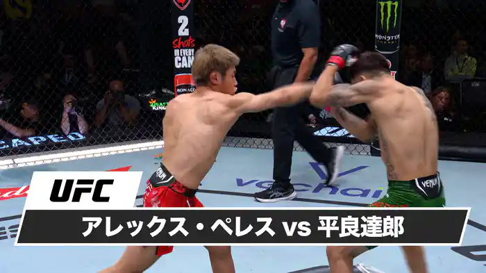 アレックス・ペレス vs. 平良達郎