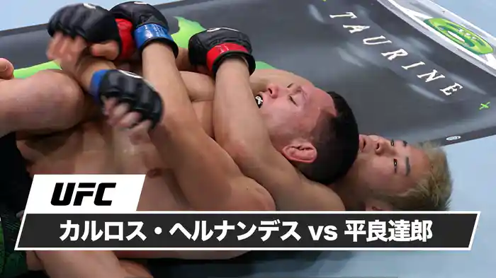 カルロス・ヘルナンデス vs. 平良達郎