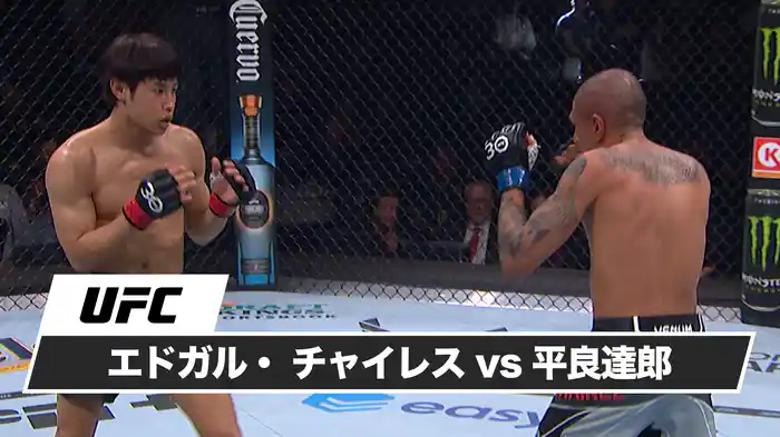 エドガル・チャイレス vs. 平良達郎