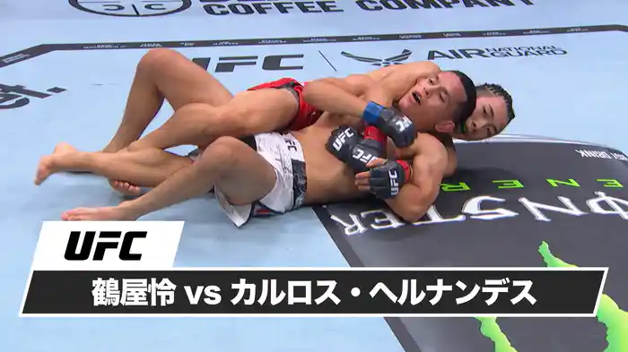 鶴屋怜 vs. カルロス・ヘルナンデス