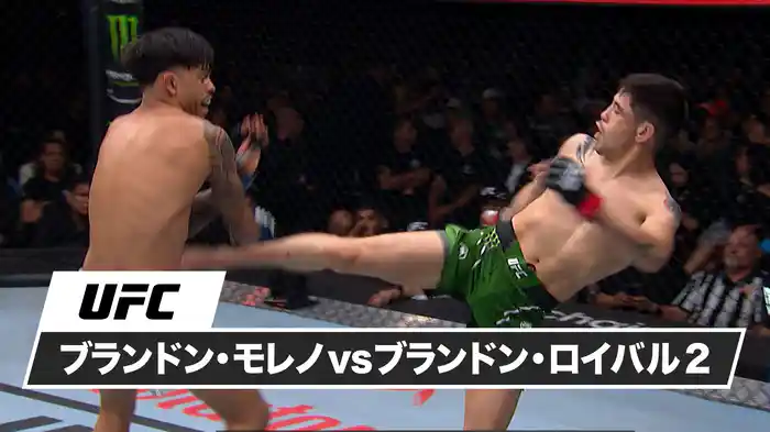 ブランドン・モレノ vs. ブランドン・ロイバル2