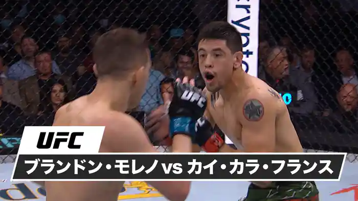 ブランドン・モレノ vs. カイ・カラ・フランス