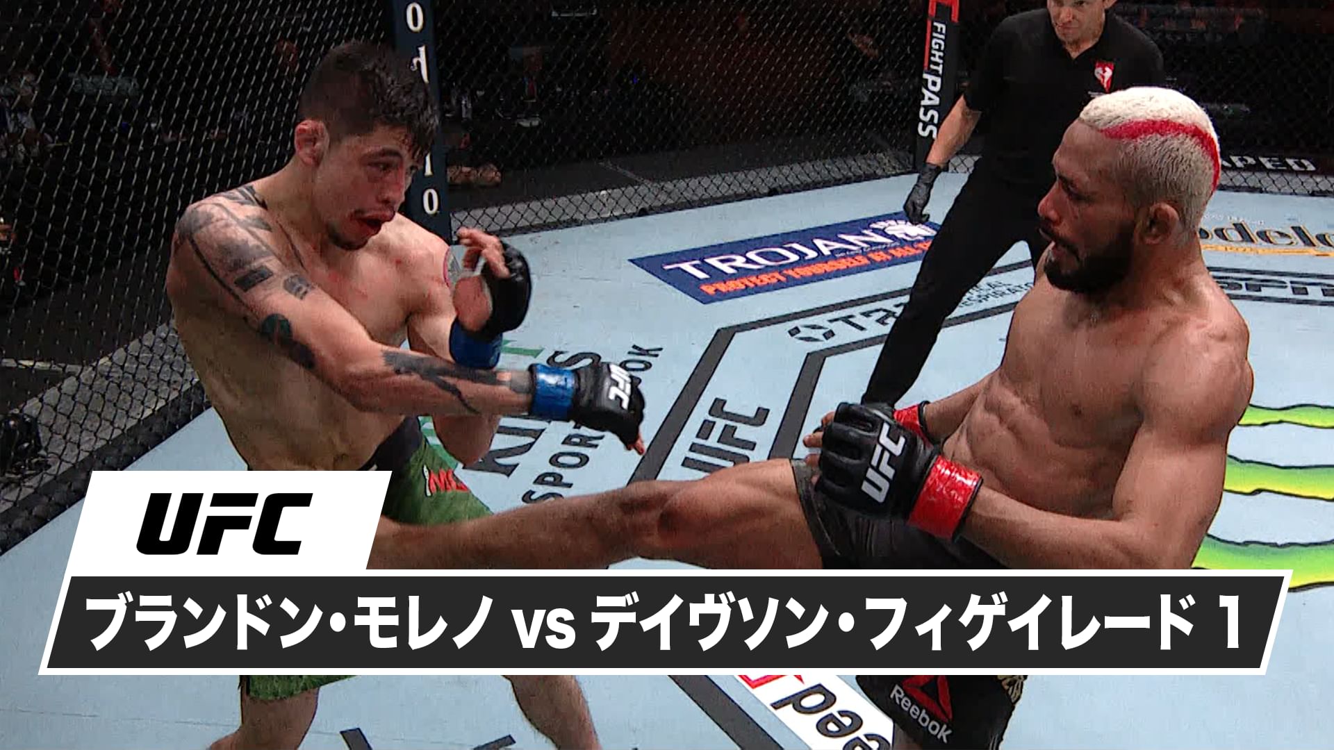 ブランドン・モレノ vs. デイヴソン・フィゲイレード1