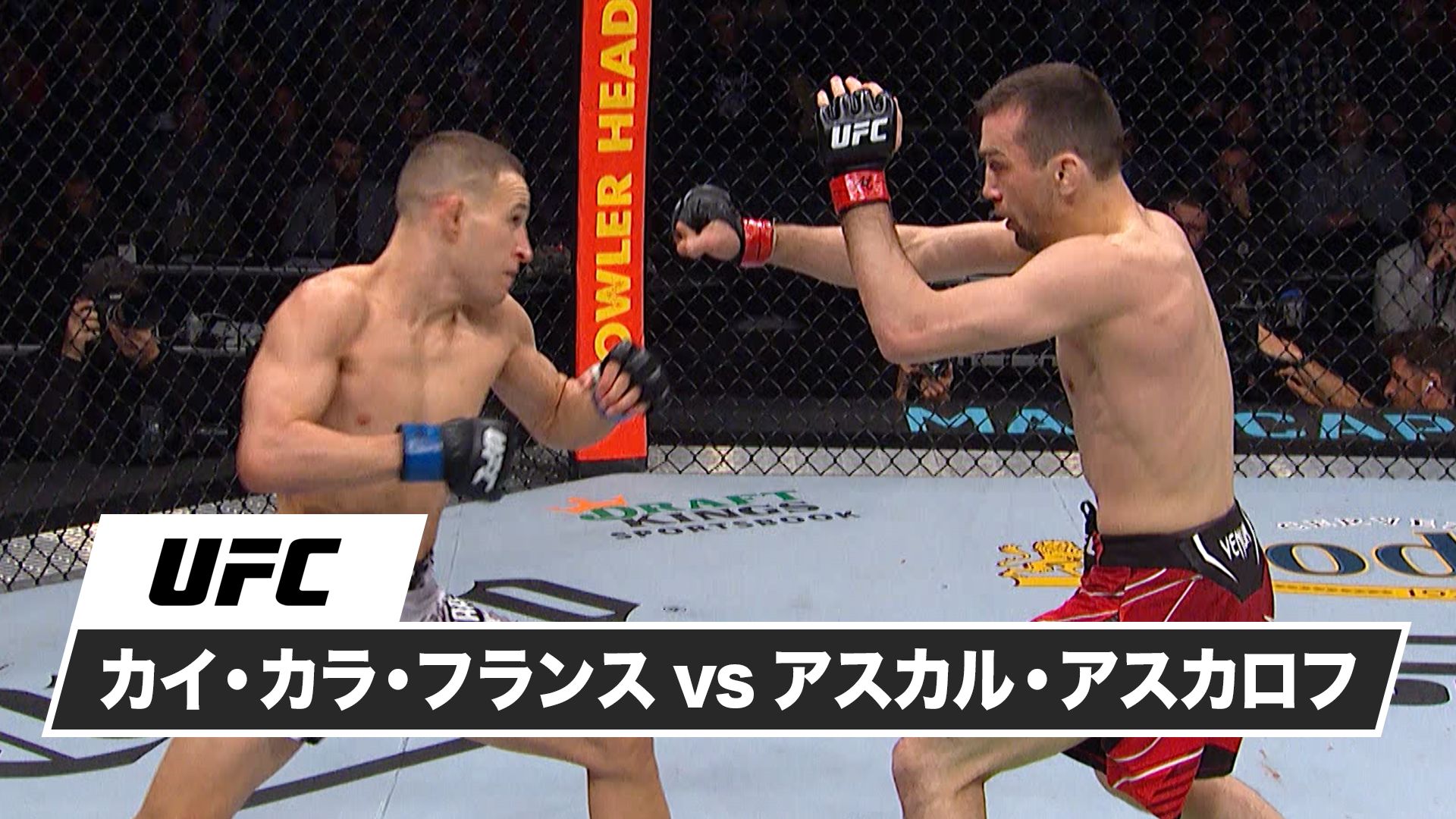 カイ・カラ・フランス vs. アスカル・アスカロフ