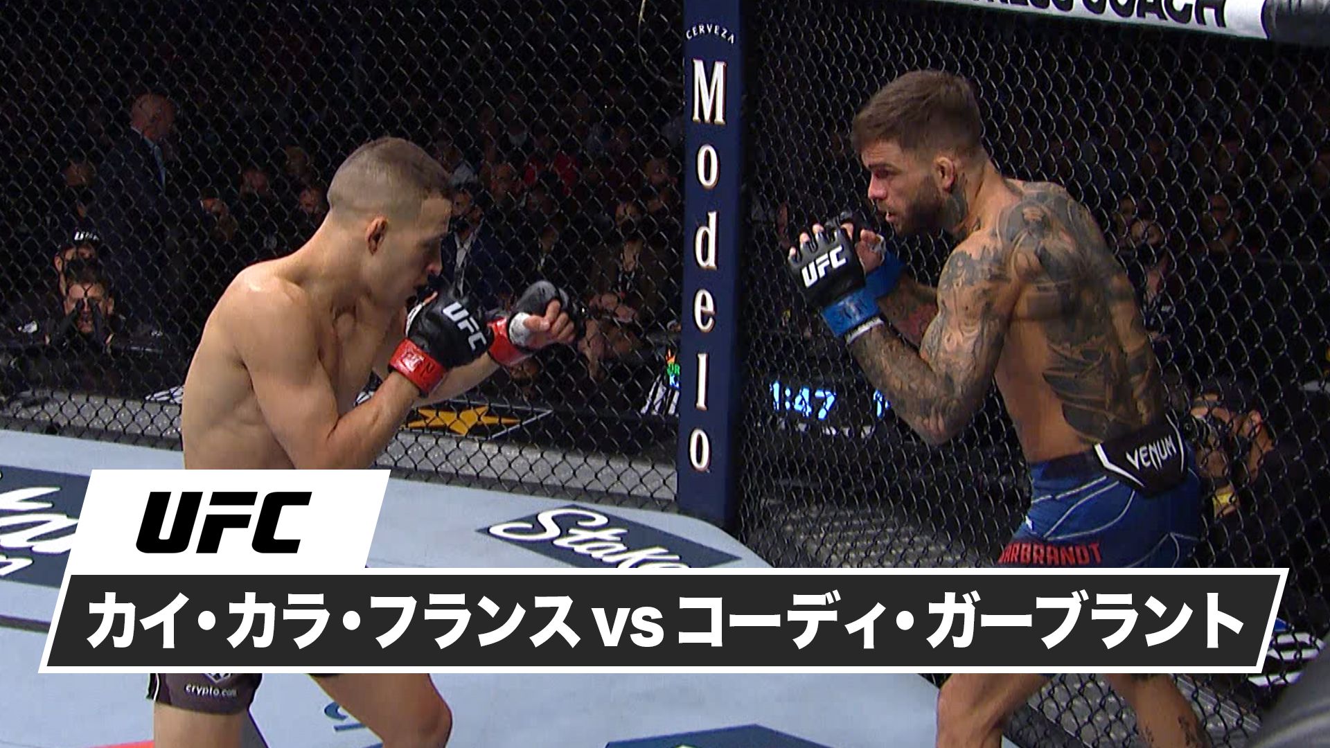 カイ・カラ・フランス vs. コーディ・ガーブラント