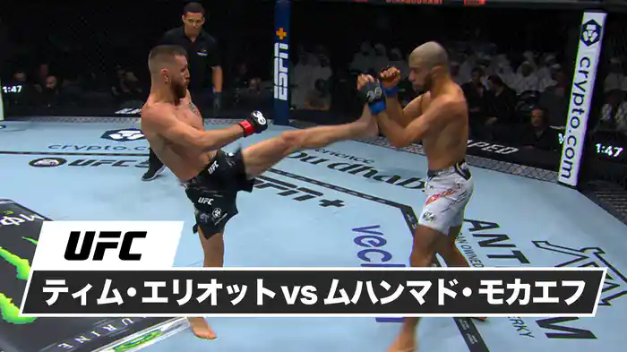 ティム・エリオット vs. ムハンマド・モカエフ