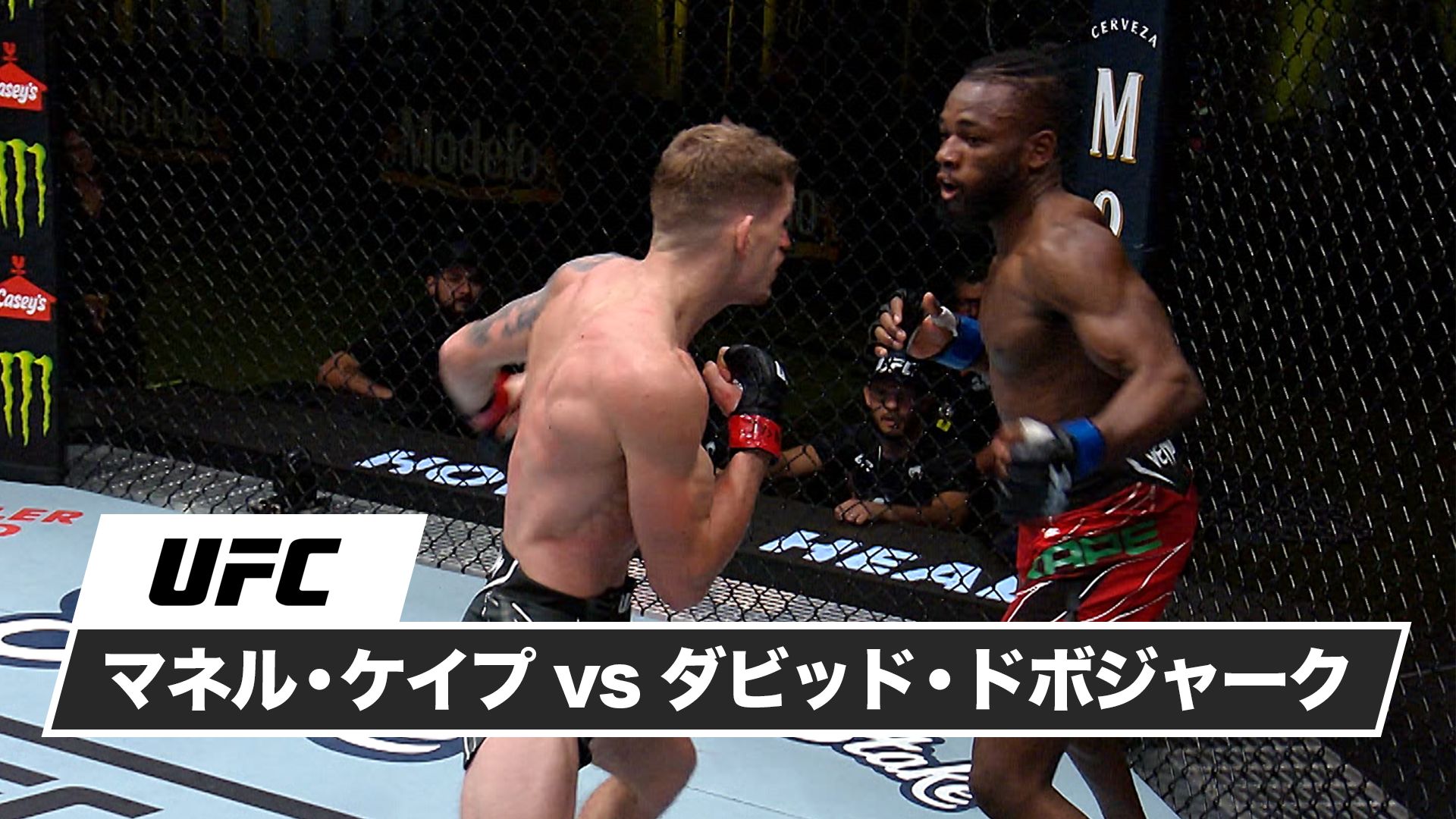 マネル・ケイプ vs. ダビッド・ドボジャーク