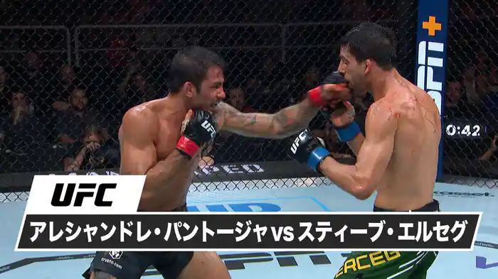 アレシャンドレ・パントージャ vs. スティーブ・エルセグ