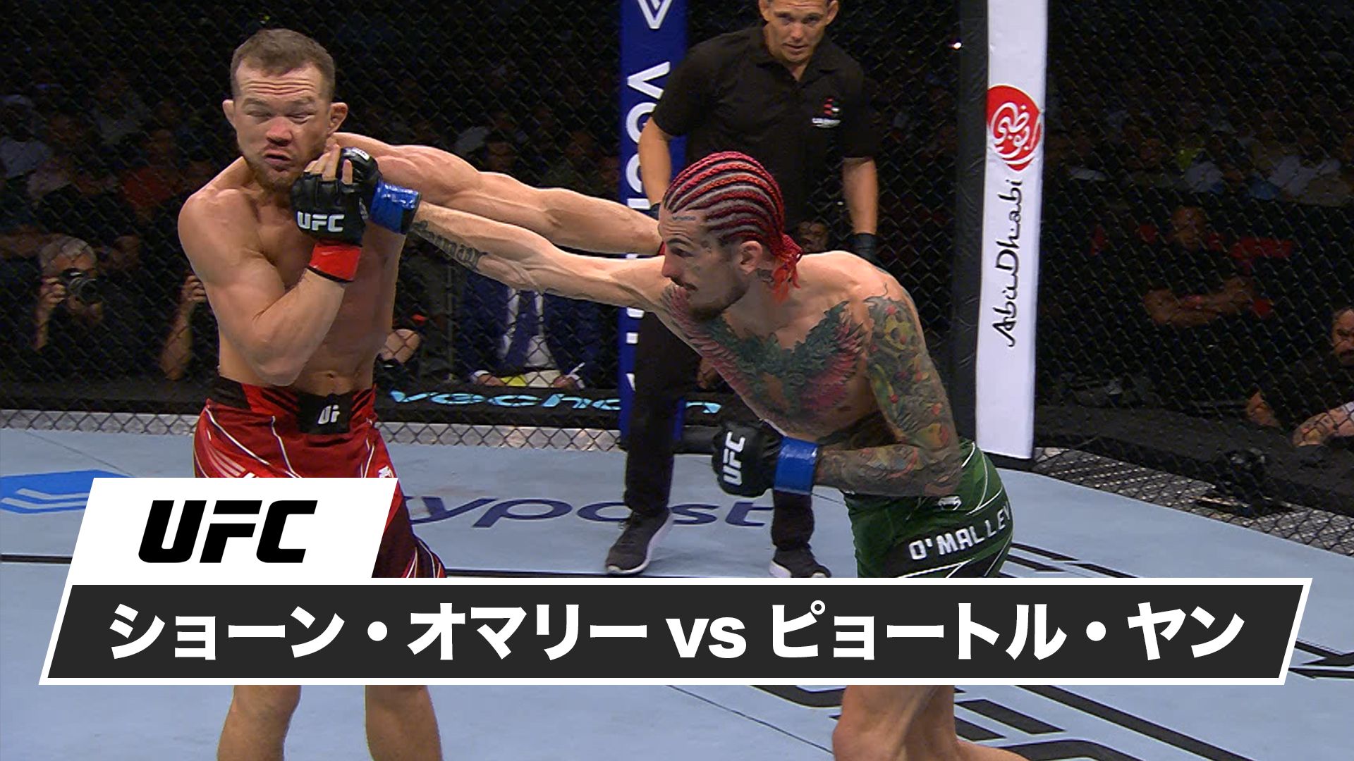 ショーン・オマリー vs. ピョートル・ヤン