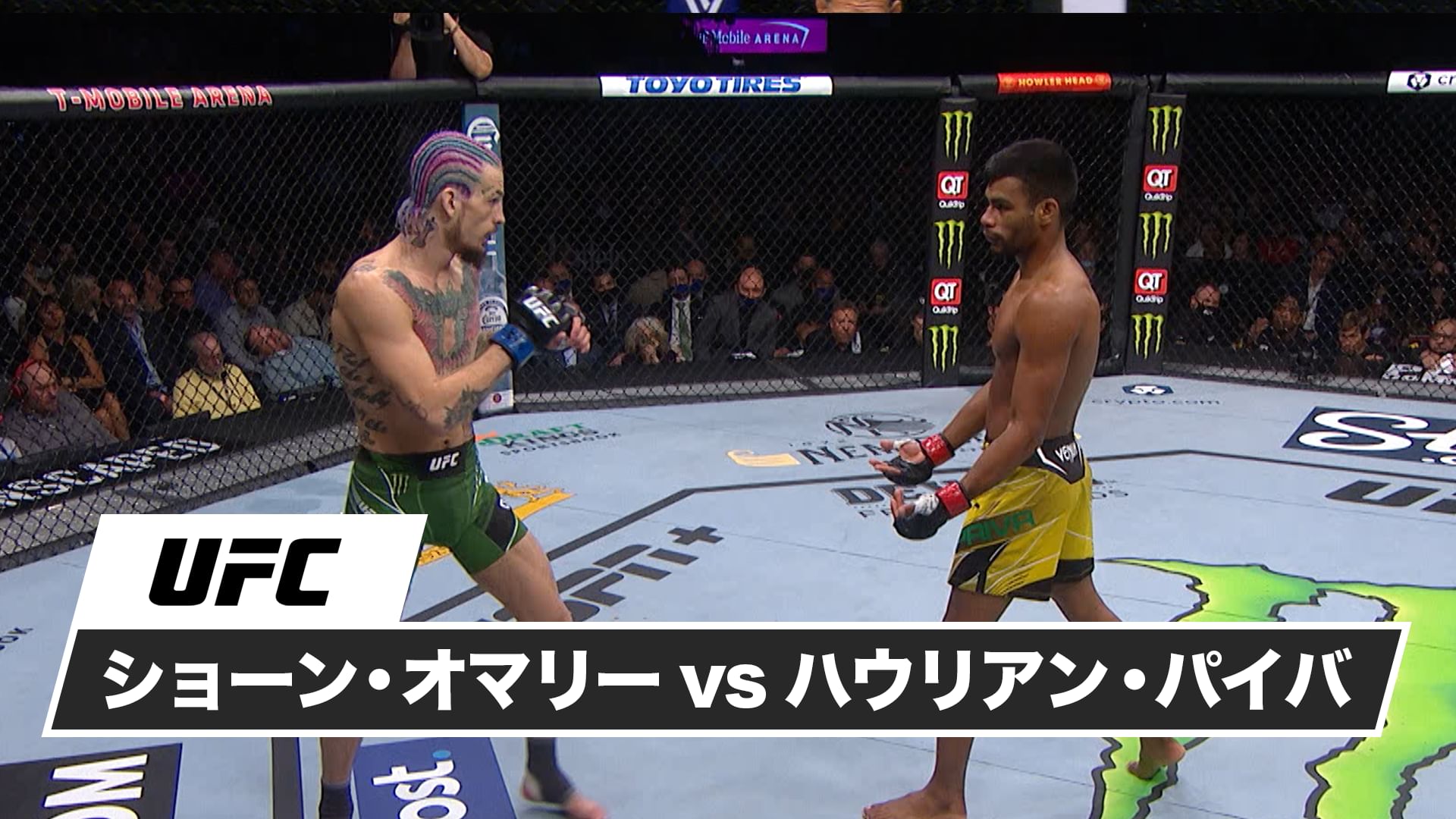 ショーン・オマリー vs. ハウリアン・パイバ