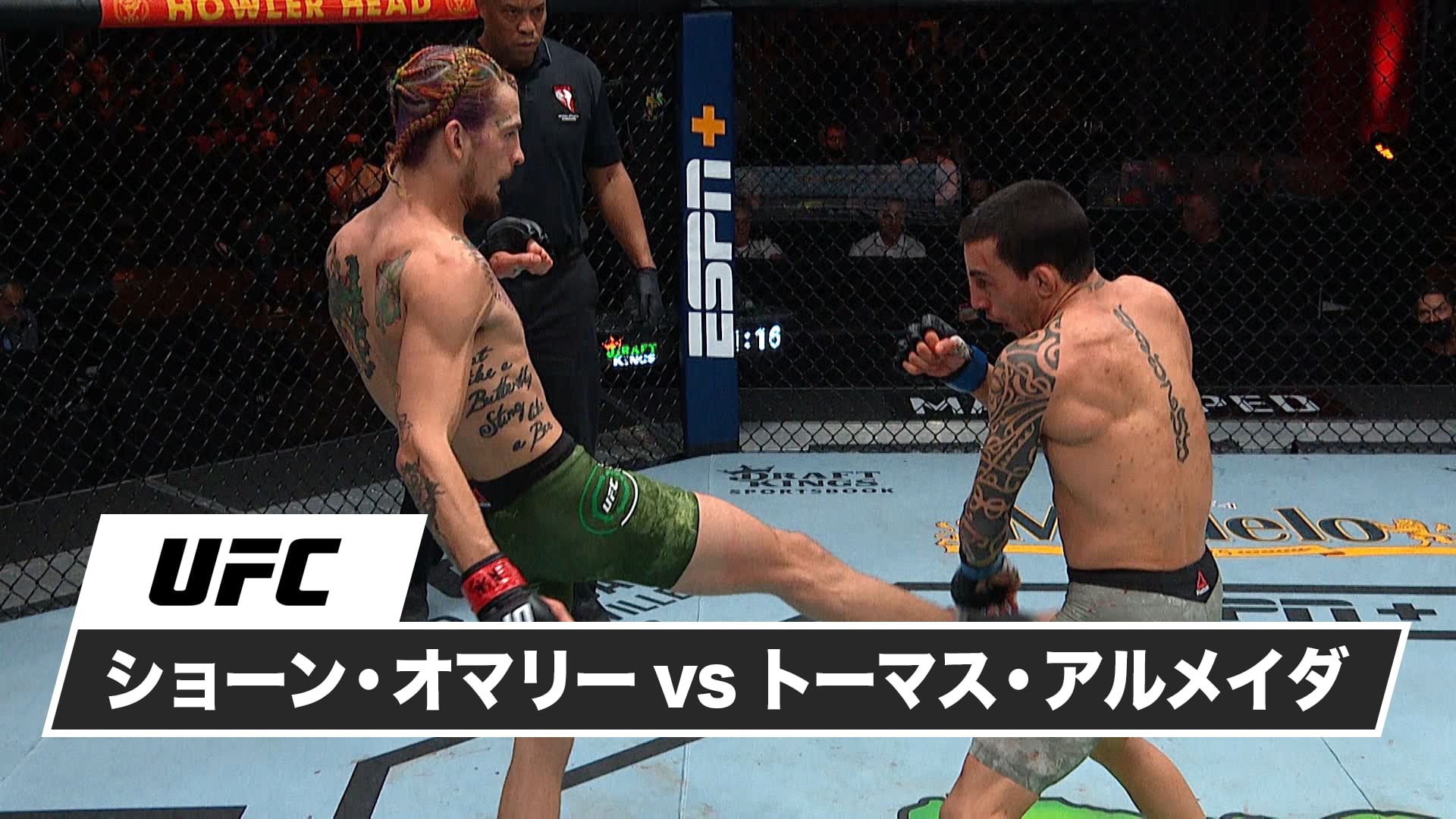 ショーン・オマリー vs. トーマス・アルメイダ